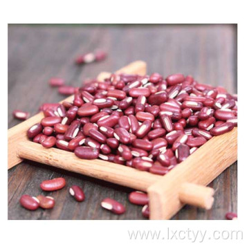 adzuki beans tea food